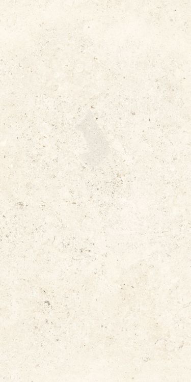 Lightstones.03 Shell Soft Touch 12 x 24